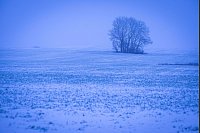 In Mecklenburg-Vorpommern ist ein Acker mit einer Schneedecke bedeckt. - © Jens Büttner/dpa