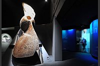 Schiffsschraube als Exponat: Für das Museum «Windstärke 10» wurden zwei alte Fischpackhallen im Hafengebiet aufwendig umgebaut. - © Ingo Wagner/dpa/dpa-tmn