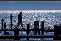 Ein Arbeiter repariert die Bootsanleger im kleinen Hafen im Salzhaff an der Ostsee. - © Jens Büttner/dpa