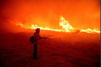 Ein Feuerwehrmann versprüht Wasser, während er die vom Hughes-Feuer in Kalifornien verursachten Flammen an einem Straßenrand überwacht. - © Ethan Swope/AP/dpa