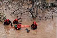 Land unter in Spanien: Nach heftigen Regenfällen in Malaga können Rettungskräfte einen Hund aus den Fluten retten. - © Gregorio Marrero/AP/dpa