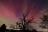 Polarlichter über dem Murrtal bei Großerlach. - © Alexander Wolf/onw-images/dpa