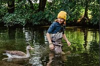 Auf Tuchfühlung mit einer Wildgans: Der Steig soll Urlauber für Naturschutz sensibilisieren. - © Thomas Linkel/erlebe.bayern/dpa-tmn