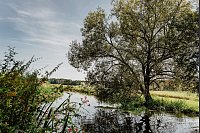 Der Chamb fließt durch die Oberpfalz - der Fluss ist 51 Kilometer lang. - © Thomas Linkel/erlebe.bayern/dpa-tmn