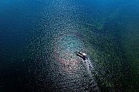 Vor der Sommerfrische auf der Insel Walfisch steht für die Ziegen die Überfahrt vom Festland per Boot. - © Jens Büttner/dpa
