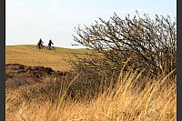 Neben der Bahn sind Fahrräder das Fortbewegungsmittel der Wahl auf Wangerooge - Autos fahren auf der Insel nicht. - © Bernd F. Meier/dpa-tmn