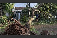 Gewaltiger Taifun in Vietnam: Kalmaegi reißt Bäume in Dak Lak aus dem Boden - © Tuong Quan/Vietnam News Agency/AP/dpa