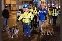 Eine private Initiative unterst&uuml;tzt die Suche. - &copy; Boris Roessler/dpa