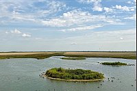 Rund 7.500 Hektar groß: das Naturschutzgebiet Oostvaardersplassen. - © Wolfgang Stelljes/dpa-tmn