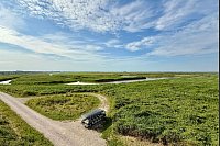 Die wohl bequemste Möglichkeit, die Oostvaardersplassen zu erkunden, ist eine Fahrt mit dem E-Mobil ab dem Besucherzentrum. - © Wolfgang Stelljes/dpa-tmn