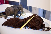 Das umhäkelte Mammut soll im nächsten Jahr Teil einer neuen Sonderausstellung werden. - © Bernd Thissen/dpa