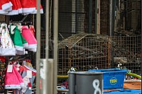 Ein Feuer hat in einem Laden der Krefelder Innenstadt starke Zerstörungen angerichtet. - © Christoph Reichwein/dpa