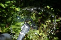 Fazit: Mit Hilfe des Löffels lässt sich das Wasser gleichmäßiger über eine größere Fläche verteilen. - © Christin Klose/dpa-tmn