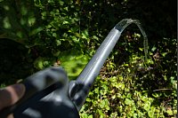 Ohne Aufsatz: Das Wasser fließt in einem kräftigen, zusammenhängenden Strahl aus der Gießkanne heraus. - © Christin Klose/dpa-tmn