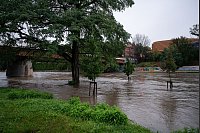 An der Stadtbrücke in Görlitz stehen Bäume im Hochwasser der Neiße. - © Paul Glaser/dpa