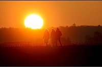 Spaziergänger gehen im Licht der untergehenden Sonne bei Altheim in Baden-Württemberg. - © Thomas Warnack/dpa