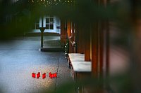 Magdeburg in Trauer: Gedenken an die Opfer des Weihnachtsmarkt-Unglücks - © Heiko Rebsch/dpa