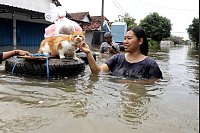 Überschwemmung in Indonesien - © Saddsam/XinHua/dpa