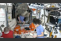 Der russische Kosmonaut Alexej Owtschinin (links) und die Astronauten Barry «Butch» Wilmore (Mitte) und Sunita «Suni» Lyn Williams warten auf die angekommenen Astronauten. - © -/NASA via AP/dpa