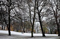 Schnee in Hamburg: unterwegs mit dem Schlitten im Schanzenpark. - © Christian Charisius/dpa