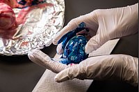 Wir haben außerdem getestet, ob sich die Eier auch färben lassen, indem die Lebensmittelfarbe direkt auf die Schale gegeben wird. Fazit: Auch mit purer Lebensmittelfarbe funktioniert es - der Effekt ist allerdings etwas fleckiger. - © Christin Klose/dpa-tmn
