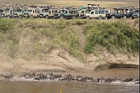 Touristen versammeln sich in der Nähe des Mara-Flusses im Masai Mara Nationalreservat, um die alljährliche Wanderung von rund 1,5 Millionen Gnus zu beobachten. - © Han Xu/XinHua/dpa