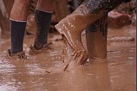 Überschwemmungen in Spanien: Menschen waten durch Schlamm nach den schweren Überschwemmungen in Paiporta bei Valencia. - © Alberto Saiz/AP/dpa