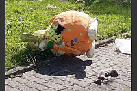 In dem Pappmasch&eacute;-Osterhasen hat sich eine Waschb&auml;rin mit drei Jungen eingenistet. - &copy; Walter R&ouml;der/dpa