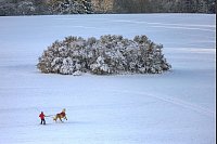 Ein Mann auf Skiern lässt sich auf der schwäbischen Alb von einem Pferd durch die verschneite Landschaft ziehen. - © Thomas Warnack/dpa