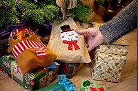 Festliche Vorfreude: Baum mit Geschenken - © Hauke-Christian Dittrich/dpa