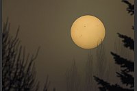 Die Sonne kämpft sich durch den dichten Nebel im Spreewald. Gut zu sehen: Die Sonnenflecken - © Patrick Pleul/dpa