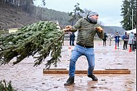 17. Weltmeisterschaft im Weihnachtsbaumwerfen in Weidenthal. - © Uwe Anspach/dpa