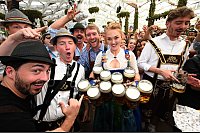 Bier, Bier und nochmals Bier. - © Felix Hörhager/dpa