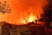 Der Kampf gegen die Flammen ist äußerst gefährlich. - © Uncredited/AP/dpa