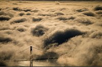 Die Lions Gate Bridge in Vancouver, B.C., in Kanada ragt aus dem Nebel. - © Darryl Dyck/Canadian Press via ZUMA Press/dpa