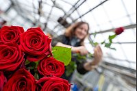 Bald ist Valentinstag. - © Pia Bayer/dpa