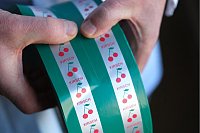 Nostalgie mit modernem Touch: Die Verpackung von Frukas sieht aus wie immer, ist nun aber nachhaltiger und aluminiumfrei. - &copy; Sebastian Willnow/dpa