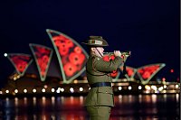 EinTrompeter der australischen Militärkapelle spielt während der Morgenandacht zum Remembrance Day am Sydney Opera House. - © Steve Markham/AAP/dpa
