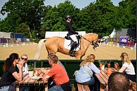 Zwischen Besuchern: Reiterin reitet zum Aufwärmen vorbei - © Gregor Fischer/dpa