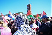 Es waren viele palästinensische Fahnen zu sehen. - © Annette Riedl/dpa