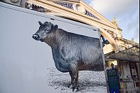 Auf dem Areal soll unter anderem ein Museum entstehen. - © Vuk Valcic/ZUMA Press Wire/dpa
