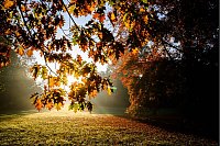 Herbst in Niedersachsen: Die aufgehende Sonne scheint auf einen Baum im Georgengarten der Herrenhäuser Gärten.

Ist das verständlicher für Kinder? - © Julian Stratenschulte/dpa
