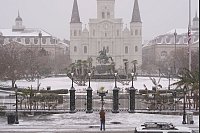 Palmen im Schnee: Winterwetter im French Quarter von New Orleans. - © Gerald Herbert/AP/dpa