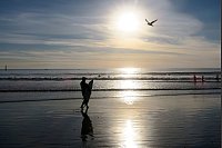 Auf der Suche nach der perfekten Welle: ein Surfer am Venice Beach. - © Andrea Warnecke/dpa-tmn
