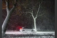 Im dichten Schneetreiben ist ein Auto auf einer Allee im östlichen Brandenburg unterwegs. - © Patrick Pleul/dpa