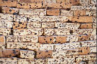 Er besteht aus mehr als 3.300 Teilen. - © Sebastian Kahnert/dpa