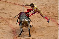 Am Ende des Stierkampfes versetzt der Matador dem Stier mit dem Degen den Todesstoß. - © Alvaro Barrientos/AP/dpa