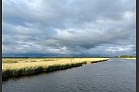 Das Peenetal in der Abendsonne: Für den kleinsten Naturpark Mecklenburg-Vorpommerns ziehen manche einen großen Vergleich - und nennen ihn «Amazonas des Nordens». - © Wolfgang Stelljes/dpa-tmn