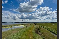 Blick vom Aussichtsturm Lassan: Hier fliegen an diesem Tag Bussarde und Milane - aber Adler zeigen sich dem Autor nicht. - © Wolfgang Stelljes/dpa-tmn