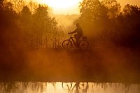 Herbstnebel in seiner schönsten Form auf dem Deich an der Hunte - © Hauke-Christian Dittrich/dpa
